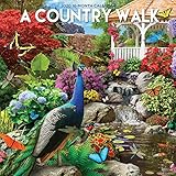 A Country Walk 2020 12 x 12 Inch Monthly Square Wall Calendar by Hopper Studios Featuring the Artwor by 