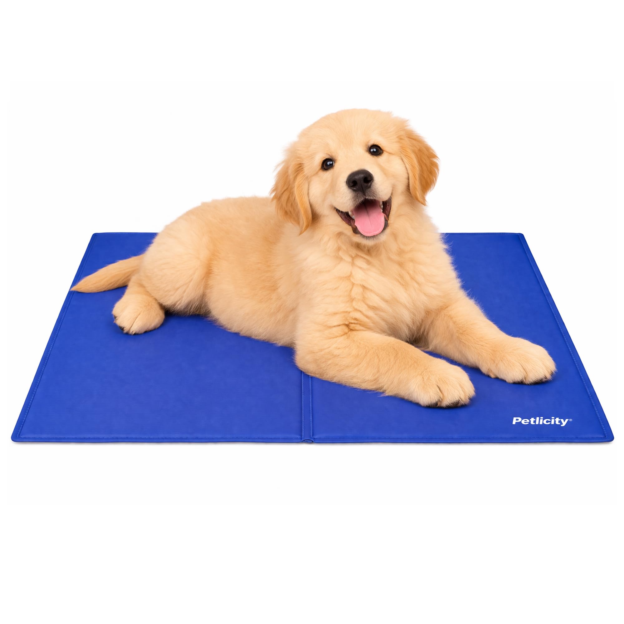 Petlicity Dog Cooling Mat 40x30cm - Self Cooling Gel Cooling Mat for Dogs and Cats - Portable and Easy to Clean Cool Mat for Dogs for Beds, Travel and Warm Weather (Small)