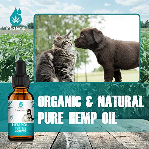 MaxHemp Organic Hemp Oil for Dogs and Cats for Pain, Anxiety