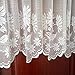 Zhh Embroidery Floral Sheer Valance for Window - White Lace Short Valances for Kitchen, Cafe, Living Room, Door Decor, Rustic Style, 21 x 59Inch, White