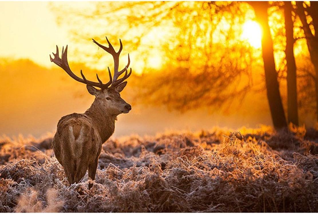XYMLGS Difficult challenge Peng Jigsaw Puzzle Morning Deer 300/500/1000/1500/2000/3000/5000/5700 Pieces for Adult Kids Girl, Birthday, Decompression Toy, Impossible Mission present