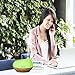 BESTEK Aromatherapy Diffuser, 300ml Wood Look Essential Oil Diffuser Lasts 8 Hours with Waterless Auto Shut-Off, Cool Mist, 7 lED Night Light