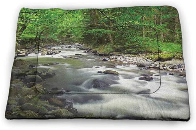 dog rocks cooling mat