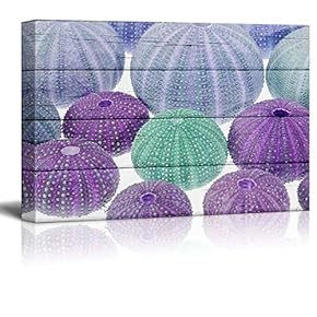 Canvas Wll Art - Urchins on Vintage Wooden Feeling Background - Giclee Print and Stretched Gallery Wrap | Modern Home Art Ready to Hang - 12"x18"