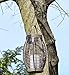 Gray Bunny Metal Tree Branch Hook, 12 Inch, Black, 2-Pack, Premium Extra Thick 1/5 Inch Diameter Rust Resistant Steel S-Hooks for Bird Feeders and Baths, Planters, and More