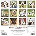 Just Bulldog Puppies 2019 Wall Calendar (Dog Breed Calendar)