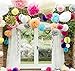 Life Glow 12Pcs Pom Poms of 10