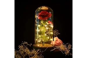 SW Preserved Rose Enchanted Rose Red Silk Rose in Glass Dome with LED Lights Pine Base, Romantic Home Decor Gifts for Mom Women Valentines Day Christmas Mothers Day Wedding Anniversary Birthday