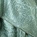 PASKMLNA Paisley Jacquard Pashmina Shawl Wrap Scarf Stole (olive-light aqua01870)