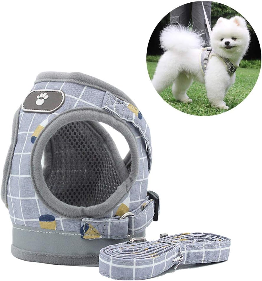 AnlitentSoft Mesh No Pull Cat Harness and Lead Set for Walking Escape Proof Puppies Vest Harnesses for Small Dogs Animals/Cats, Easy Fit Kitten XS