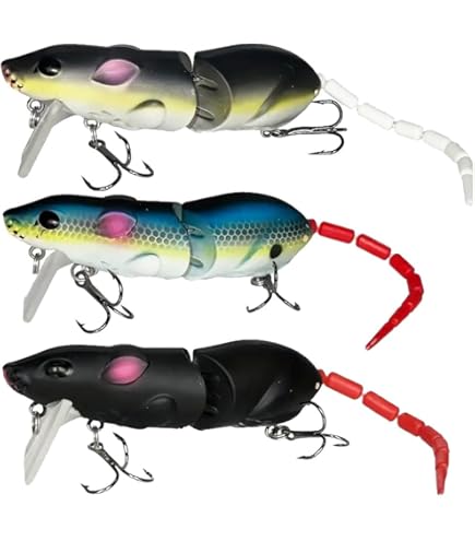 Pescare In Mare L'Orata Come E Dove Pescare Le Orate Esche E Tecnica - Foto 8