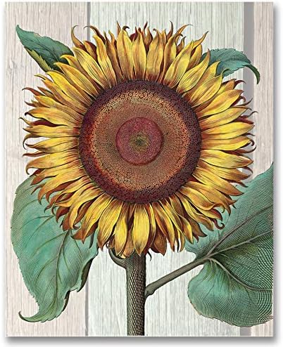 Amazon Inkfish Designs ビンテージ ひまわり 8 X 10 アートプリント フレームなし カントリーウォールデコ アンティークボタニカルイラスト 素朴なホワイトウォッシュウッド付き ファームハウスキッチンに最適 アートフレーム ポスター オンライン通販
