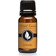 Caramel Premium Grade Fragrance Oil - 10ml - Scented Oil