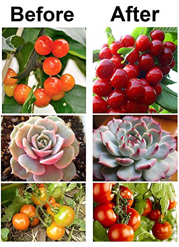 PowerKing Indoor LED Timer Plants Grow Light Strip