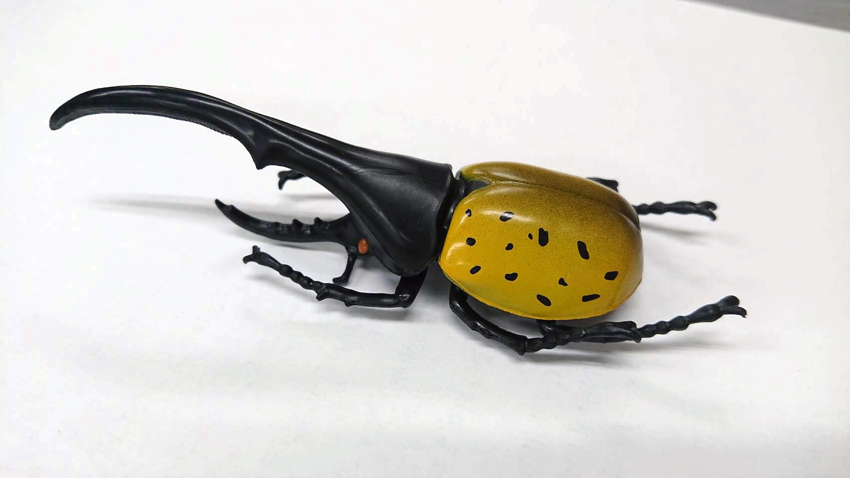 世界のカブトムシ クワガタ最強決定図鑑 フィギュア付き バラエティ 岡村 茂 本 通販 Amazon