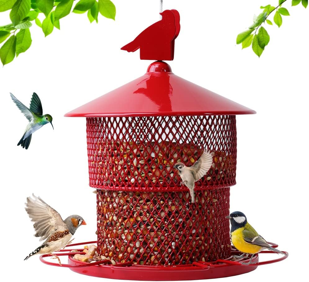 Backyard Birding & Wildlife - Metal Bird Feeders for Outside, Squirrel Proof Wild Bird Feeder, 4 Lbs Large Seed Capacity, Mesh, 6 Perches, Large Hanging Proof for Cardinal, Finch, Blue Jay, Wild Birds