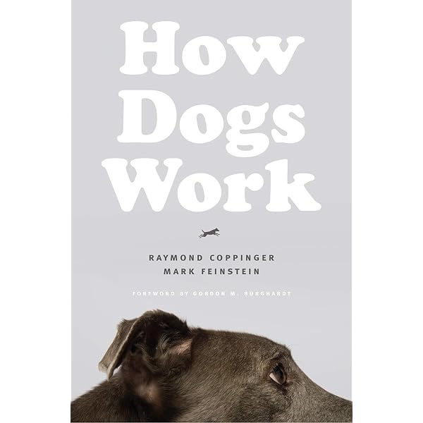 How Dogs Work: Coppinger, Raymond, Feinstein, Mark, Burghardt