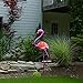 Garden Solar Lights Outdoor Solar Flamingo Garden Stake Light Decorative for Pathway, Patio, Lawn, Walkway and Yard