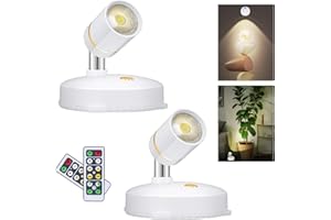 LEASTYLE Battery Operated Spotlight,LED Cordless Spot Lights Indoor with Remote, Wireless Uplighting for Wall Display Artwork Accent