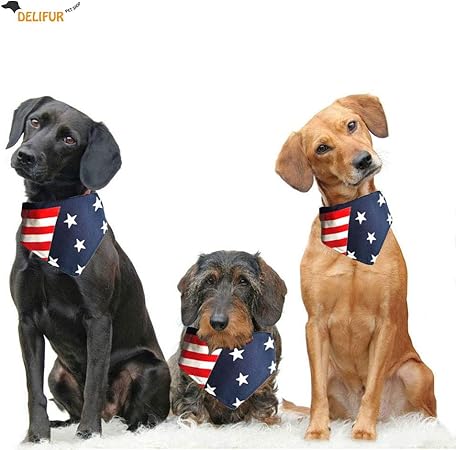 dogs accessories amazon