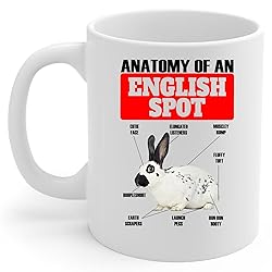 Lovesout Funny English Spot Rabbit Anatomy Chart