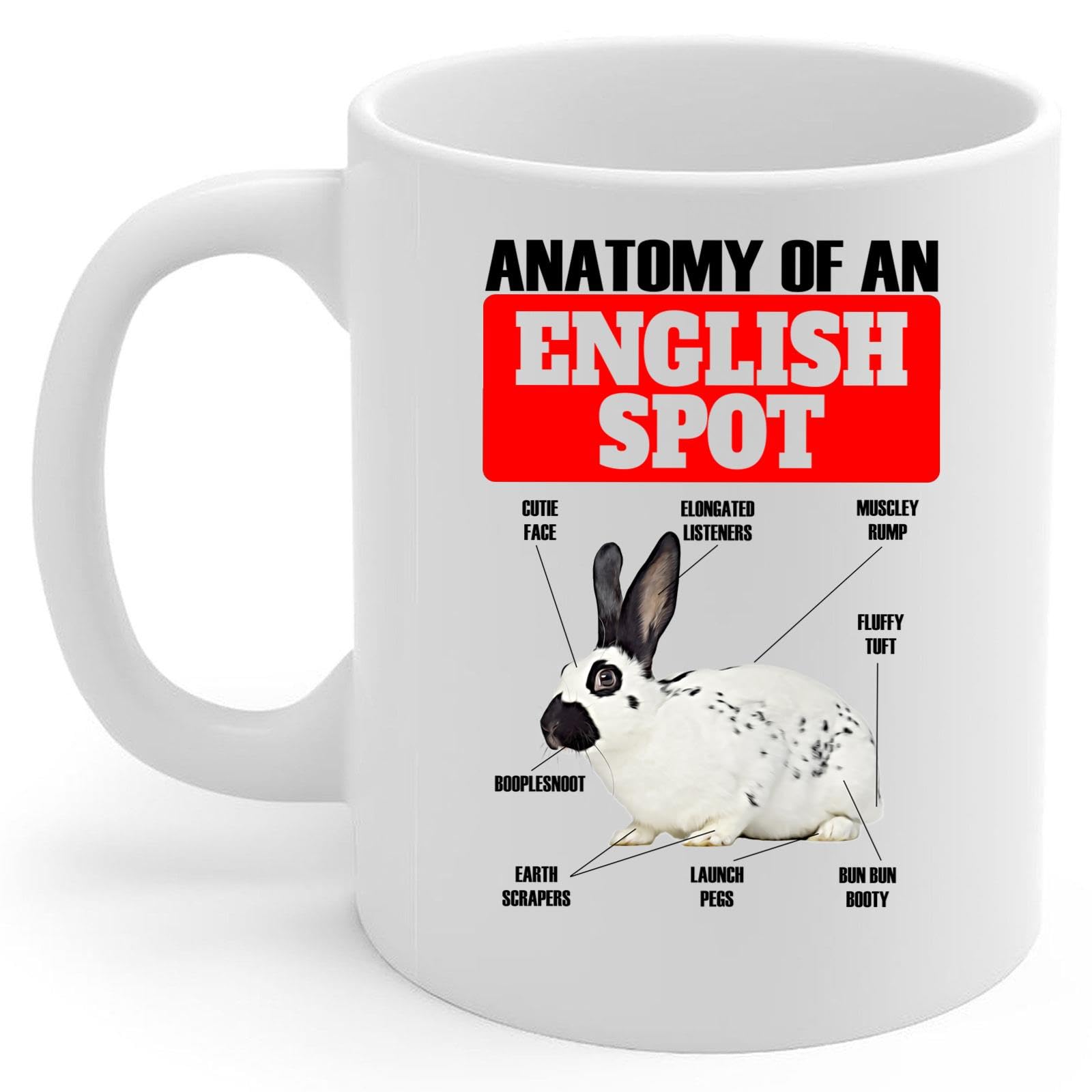 Lovesout Funny English Spot Rabbit Anatomy Chart