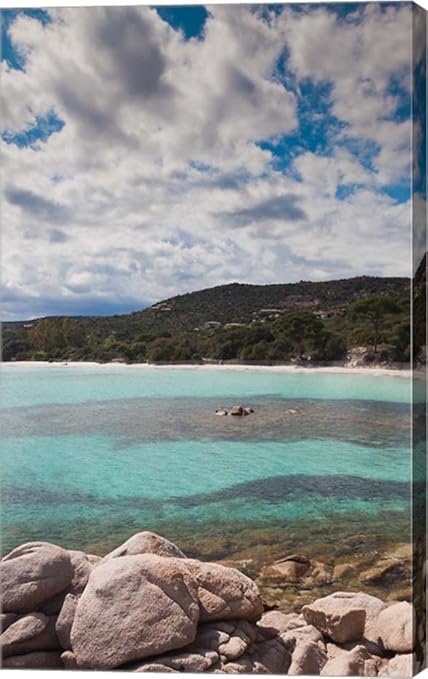 Amazoncom Plage De Palombaggia Beach By Walter Bibikow