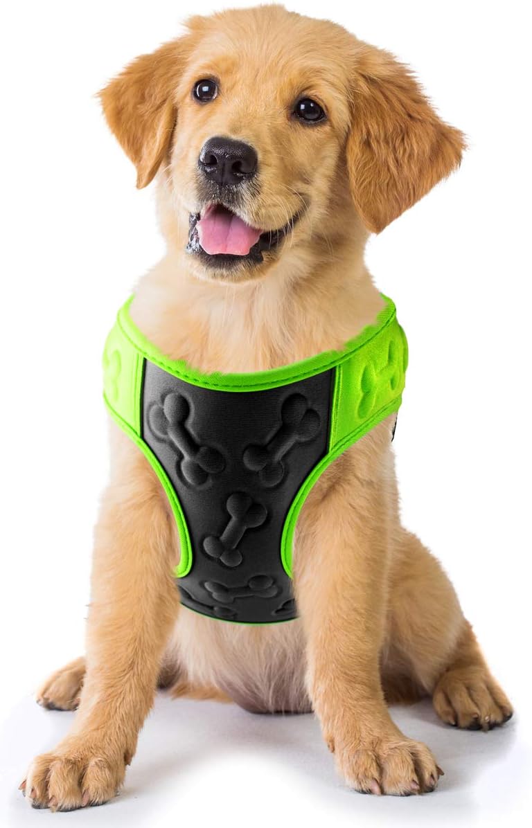 metric USA Comfort Fit Step in Dog Harness Easy to Put on Take Off Adjustable Soft Padded Puppy Harness Vest for Small and Medium Dogs Under 30 lbs, Neon Green, XS, Chest 12-14”