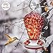 Best Home Products Hummingbird Feeder BLOWN GLASS, Wild Raspberry, 16 ounces