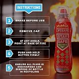 LifeSafe Technologies Small Fire Extinguisher Home Car Kitchen Compact 1kg view 3