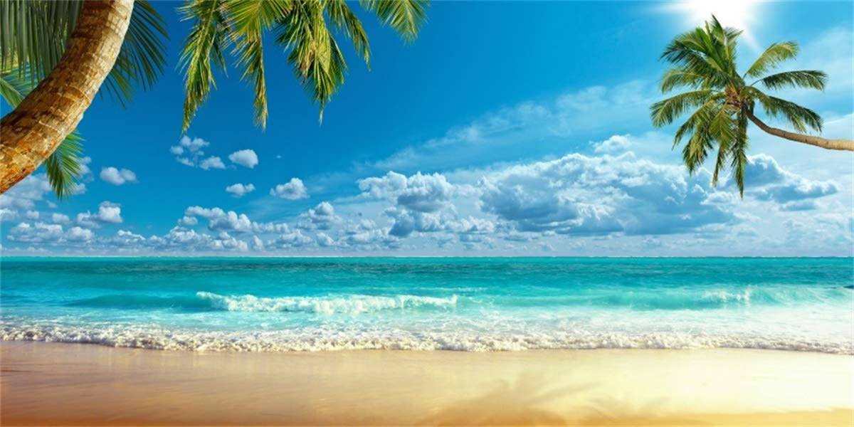 LFEEY 15x8ft Beach Photography Studio Backdrop Island Seaside Palmtree Background Vacation Blue Sky 