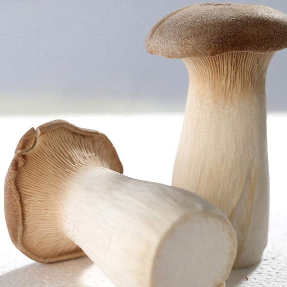 Mushrooms Seeds King Mushroom French Mushroom and King Pleurotus eryngii (Royal Oyster) Home Garden Courtyard Window Bonsai Pot Plant Vegetable Seed 50/100/200pcs