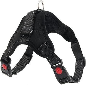 power dog harness