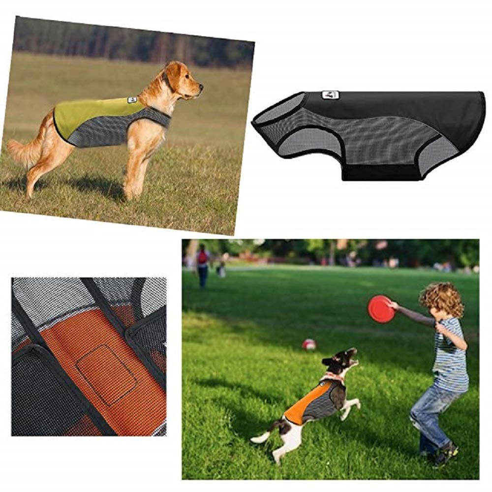 drooling dog clothes