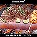 Majestic Pure Himalayan Salt Block - 100% Pure Pink Himalayan Salt, with Stainless Steel Holder, 12in x 8in x 1.5in