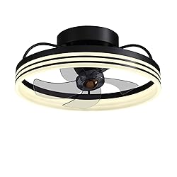 LUDOMIDE Ceiling Fans with Lights, 360° Rotating
