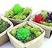 One Quart Wooden Berry Baskets (8-Pack)