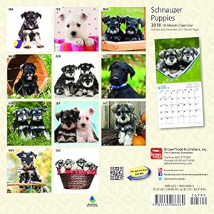 Schnauzer Puppies 2018 7 x 7 Inch Monthly Mini Wall Calendar, Animals Dog Breeds Puppies (Multilingual Edition)
