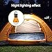 Coquimbo 2 Pack Protable LED Tent Lamp Waterproof 150 Lumens Outdoor Camping Lantern Lamp for Hiking, Fishing, Hurricane Emergency Outages