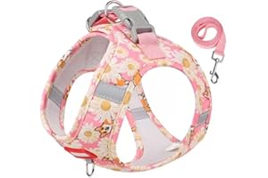 Puppy Harness and Leash Set, No Pull Lightweight Soft Suede Adjustable Pet Harness Vest with Snap Buckle for Puppy Small and 