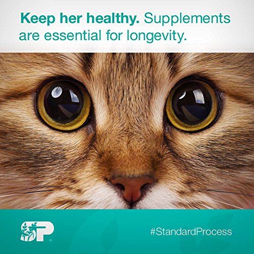 Standard Process Feline Whole Body Support 90 Tablets. Pricepulse