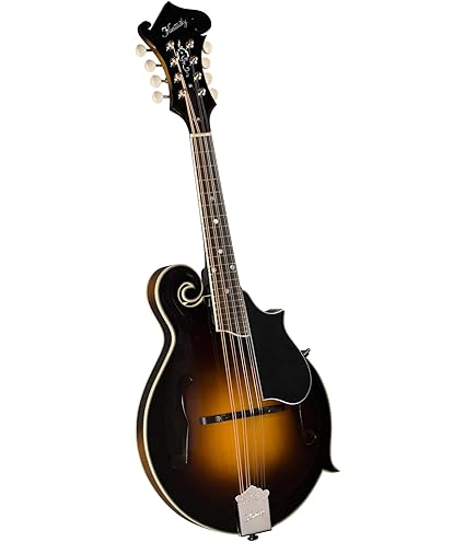 HAND-CRAFTED MANDOLIN VeneziaM-50(メ1035) Amazon.com: Kentucky KM-855 Artist F-model Mandolin