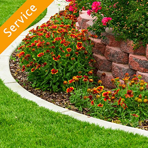 Flower Bed Soil Treatment Buy Online in United Arab Emirates at