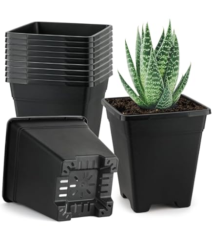 鉢・プランター TOKY SIX Square Pot(M) Amazon.co.jp: 大きい 植木鉢