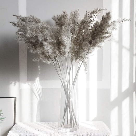 Amazon Superjuniorドライフラワー 干し花 10本 乾燥パンパ草リード 乾燥した小さなパンパスグラスリード装飾 装飾天然乾燥リード ドライフラワー 小さなリード ドライフラワーブーケ 家の装飾 花束飾り 家庭用花束 店 結婚式 記念日のプレゼント ドライフラワー
