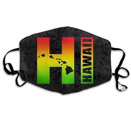 Masken für Erwachsene, Mask Face, Mouth Mask, Breathable Mask Anti Dust, Big Hawaii HI Face Mouth Mask Respirator Comfy Reuse
