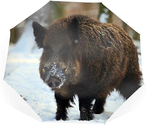 Amazon 日傘 折りたたみ傘 イノシシ牙冬の雪の森 晴雨兼用 Uvカット率99 9 耐風撥水 二重生地 紫外線遮蔽 レディース 日焼け対策 Abbylexi 折りたたみ傘 通販