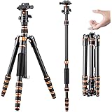 K&F Concept 60 inch Carbon Fiber Camera Tripod,Super Lightweight Compact Travel Tripod with 360 Degree Ball Head,Quick Releas