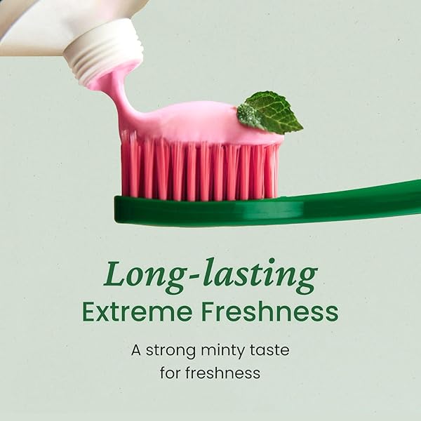 EUTHYMOL ORIGINAL PINK TOOTHPASTE (3.7FL OZ/PACK OF 1) – FLUORIDE-FREE TOOTHPASTE FOR SENSITIVE TEETH & GUM. BAD BREATH, CAVITY PREVENTION, 12-HOUR LONG LASTING FRESHNESS WITH WINTERGREEN