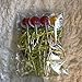 Plants vs Zombies Lollipops Video Game Party Favors Supplies Decorations Lollipops with Lime Green Ribbon Bows Party Favors -12 pcs